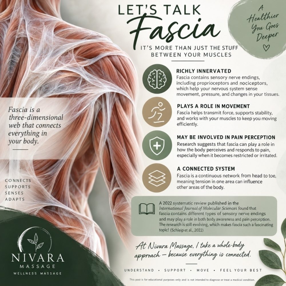 Let's Talk Fascia: an infographic from Nivara Massage